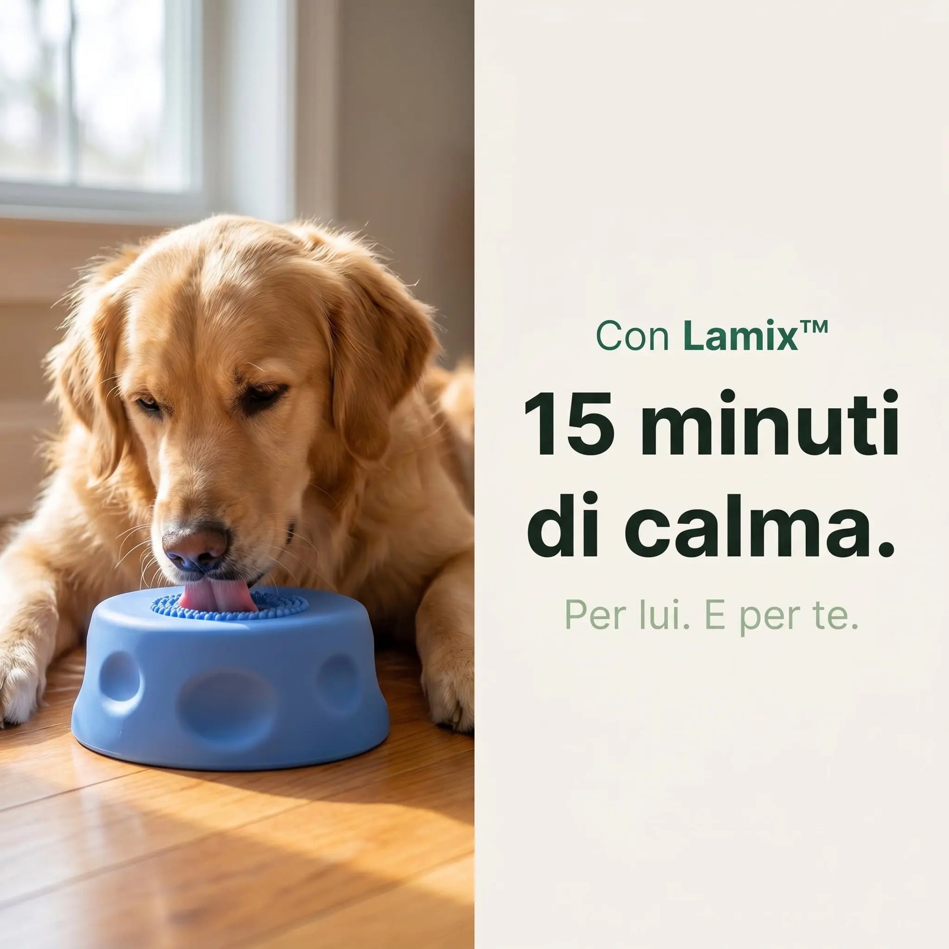Lamix™Ciotola Gioco LAMIX