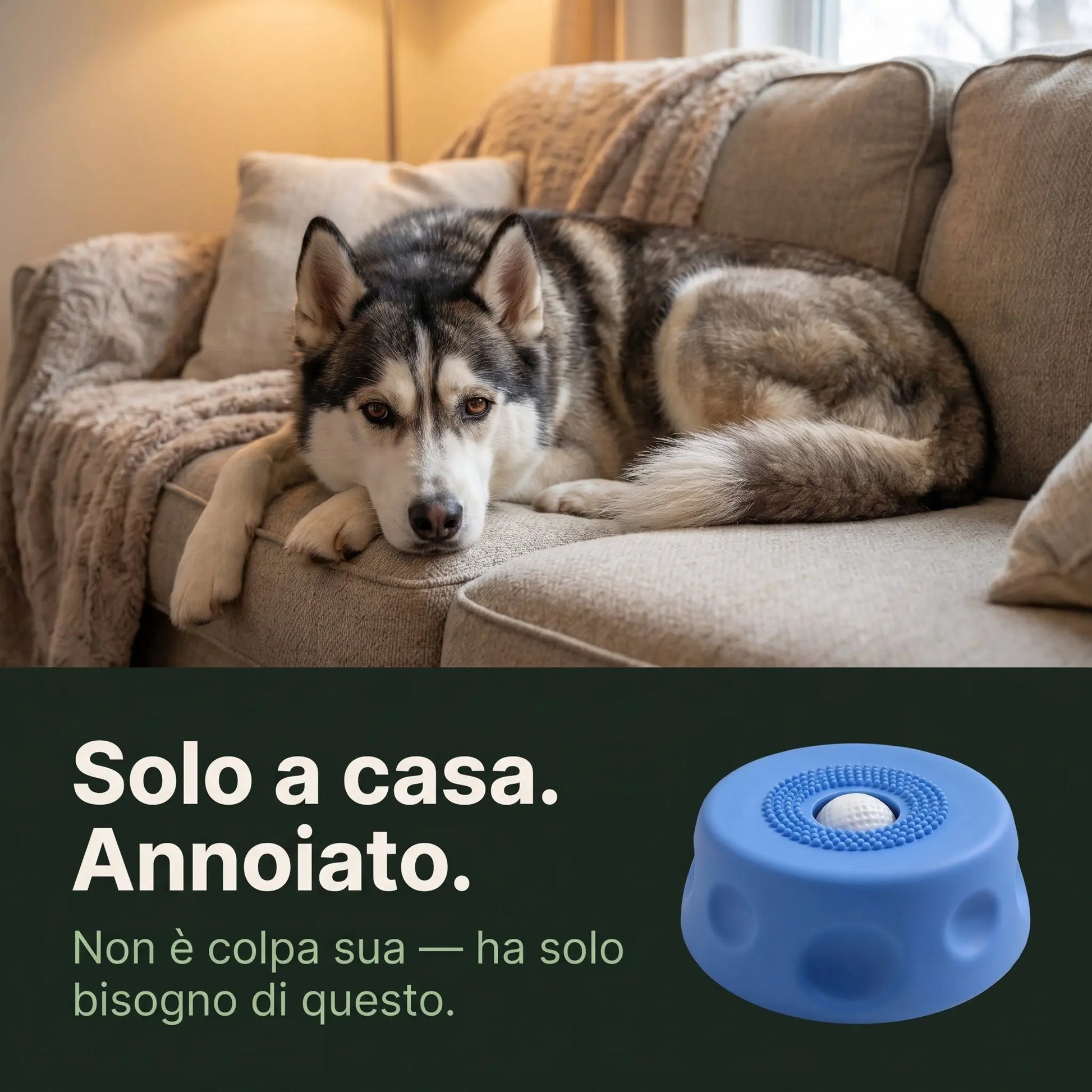 Lamix™Ciotola Gioco LAMIX