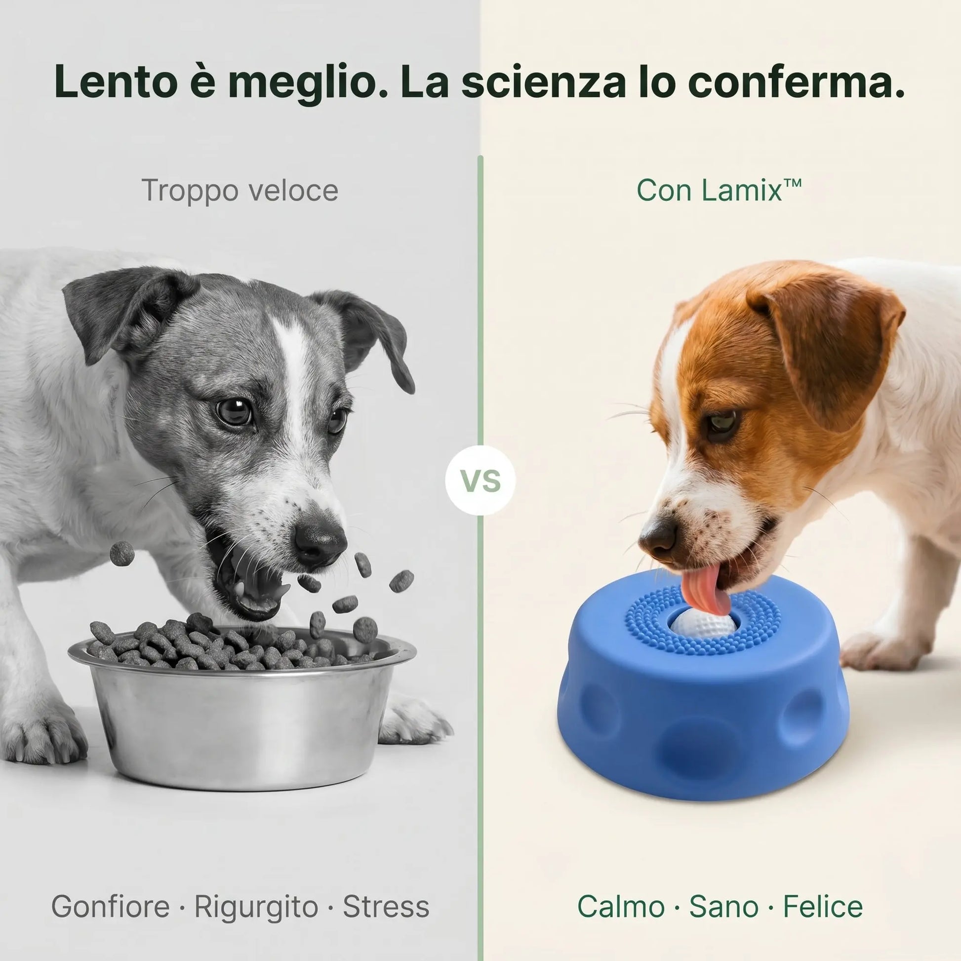 Lamix™Ciotola Gioco LAMIX
