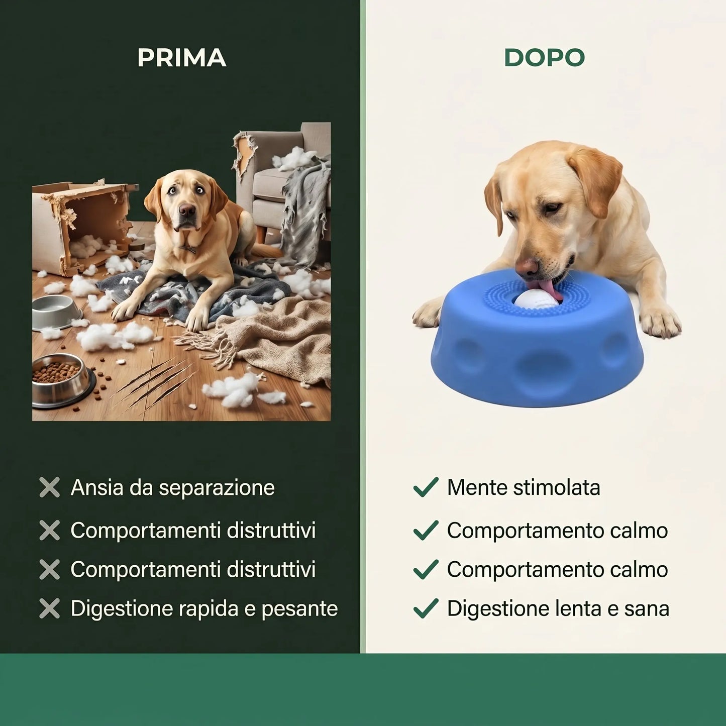 Lamix™Ciotola Gioco LAMIX